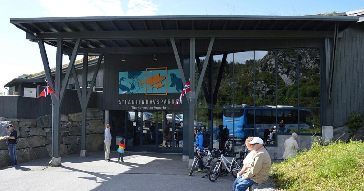 Slinningen With Free Parking Appartamento *